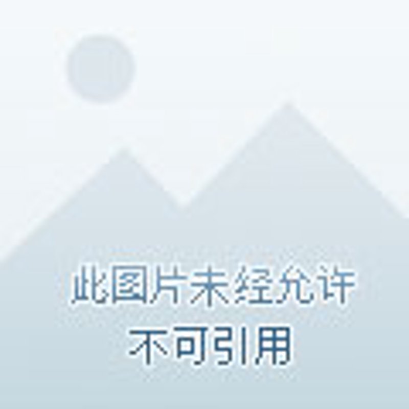 爽文短剧